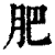 肥(清·印刷字体·康熙字典)