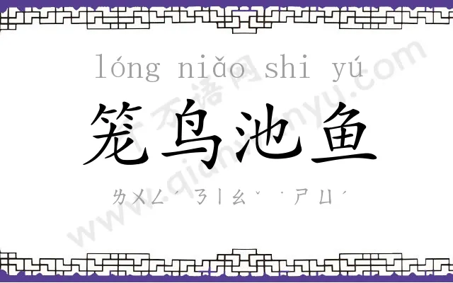 笼鸟池鱼 笼鸟池鱼