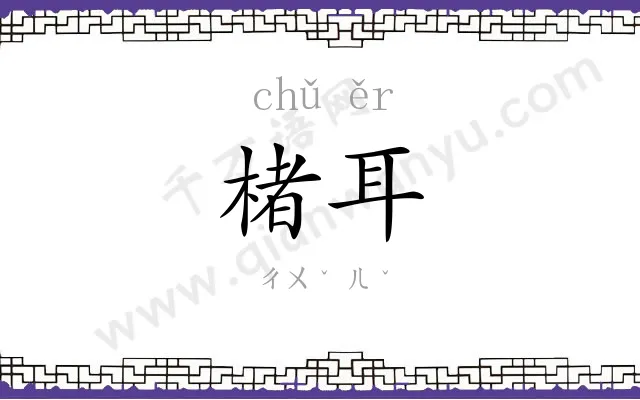 楮耳