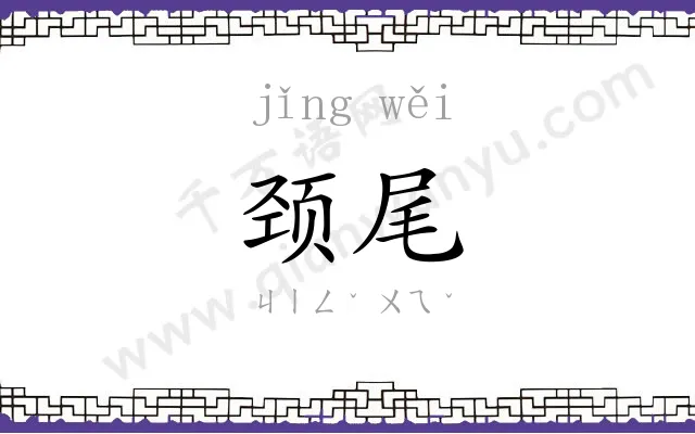 颈尾