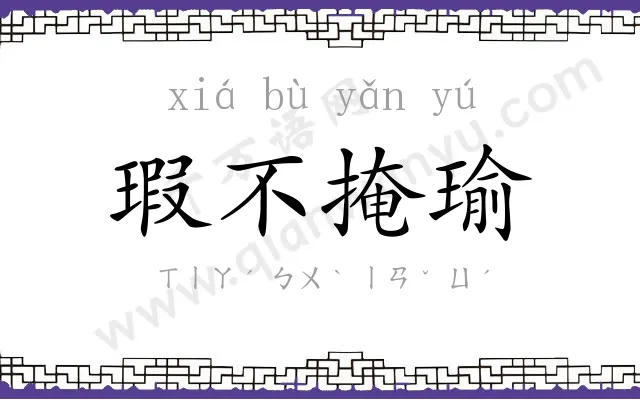 瑕不掩瑜