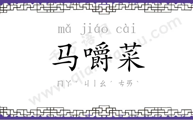马嚼菜 马嚼菜