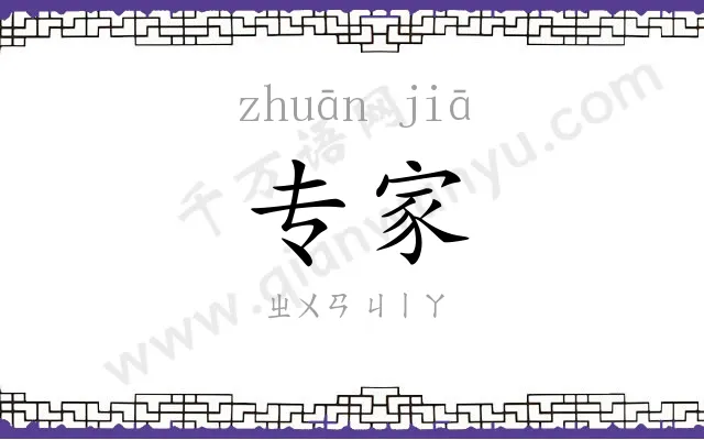 专家