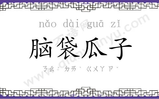 脑袋瓜子 脑袋瓜子