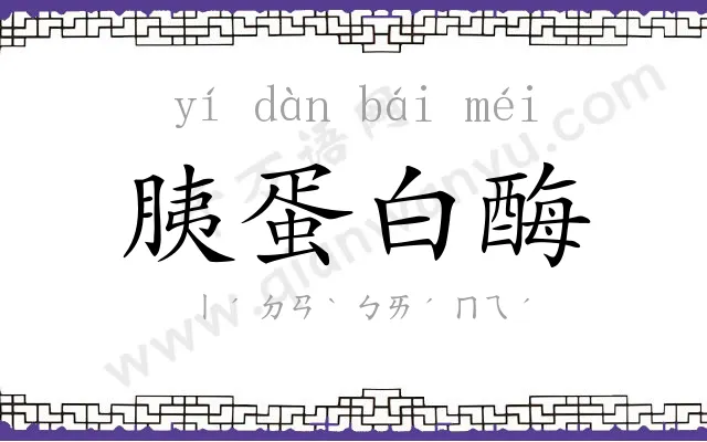 胰蛋白酶 胰蛋白酶