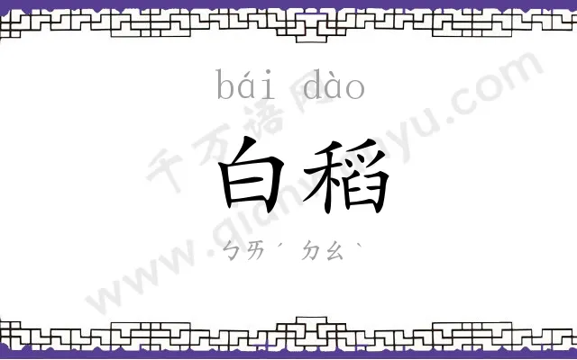 白稻