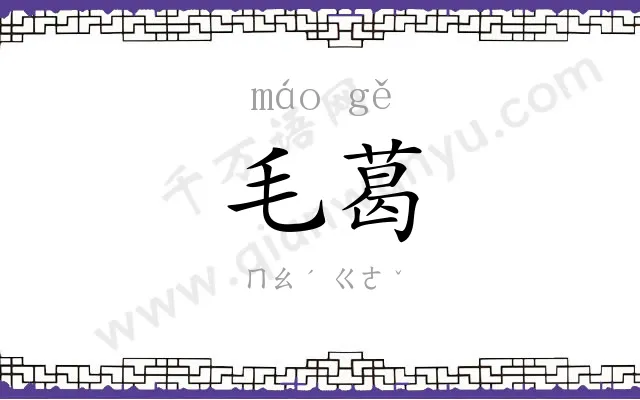 毛葛