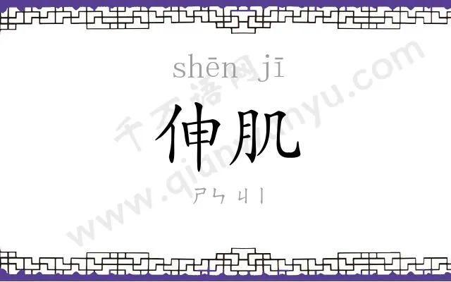 伸肌