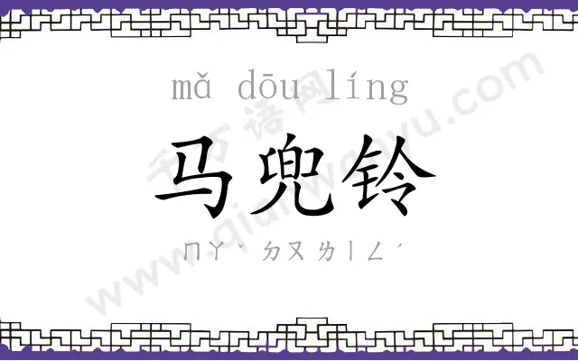 马兜铃