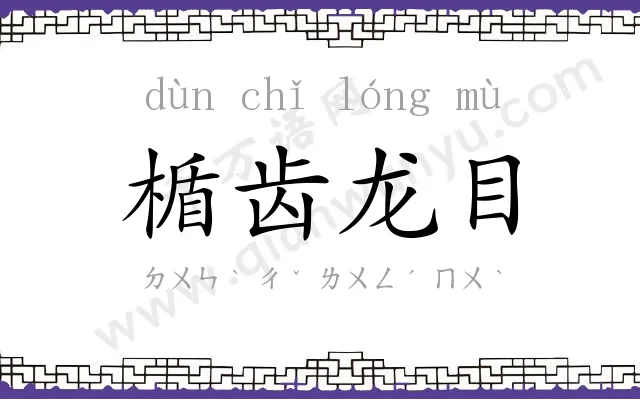 楯齿龙目 楯齿龙目