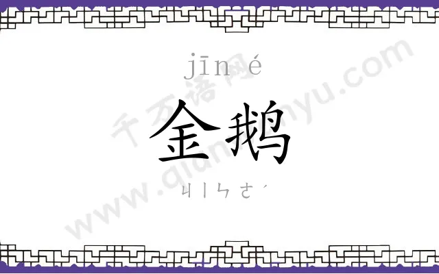 金鹅