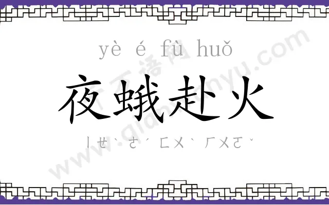 夜蛾赴火 夜蛾赴火