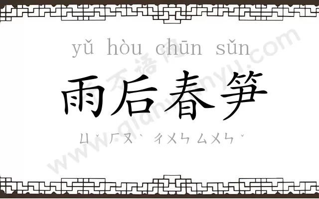 雨后春笋 雨后春笋