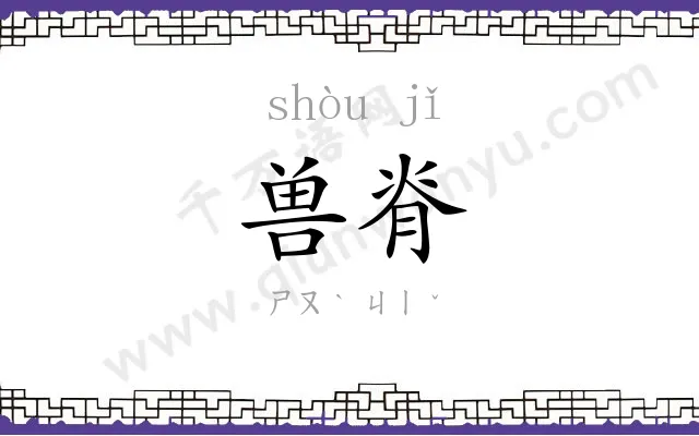 兽脊