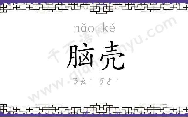 脑壳