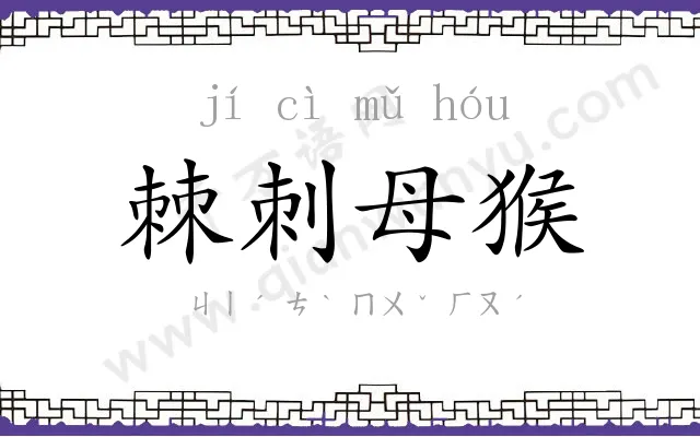 棘刺母猴 棘刺母猴