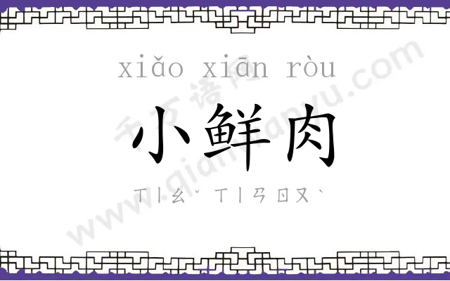 小鲜肉