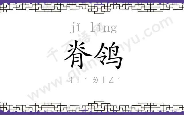 脊鸰