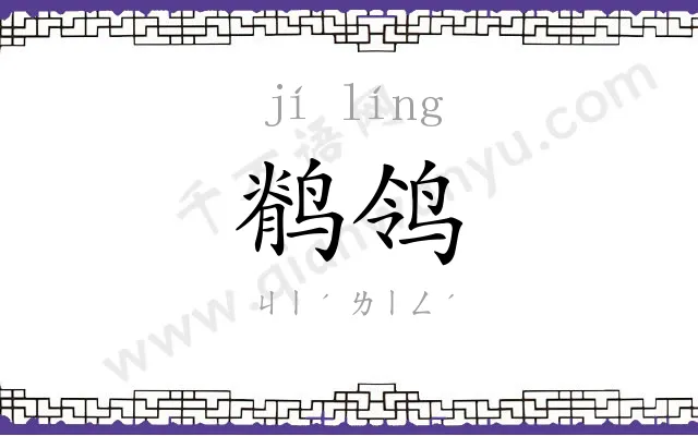鹡鸰
