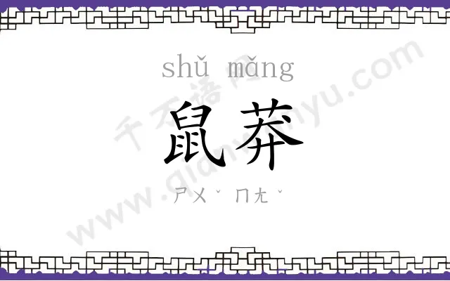 鼠莽