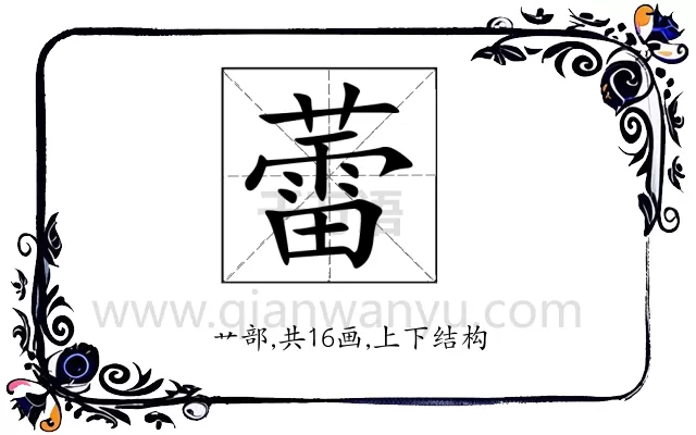 蕾