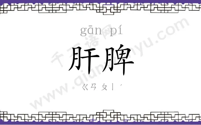 肝脾