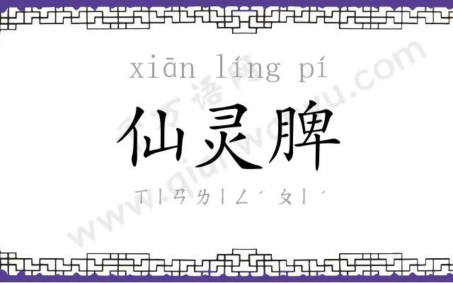 仙灵脾