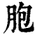胞(清·印刷字体·康熙字典)