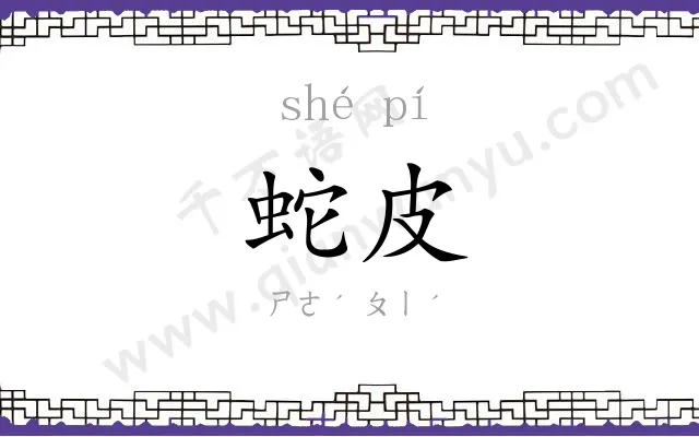蛇皮