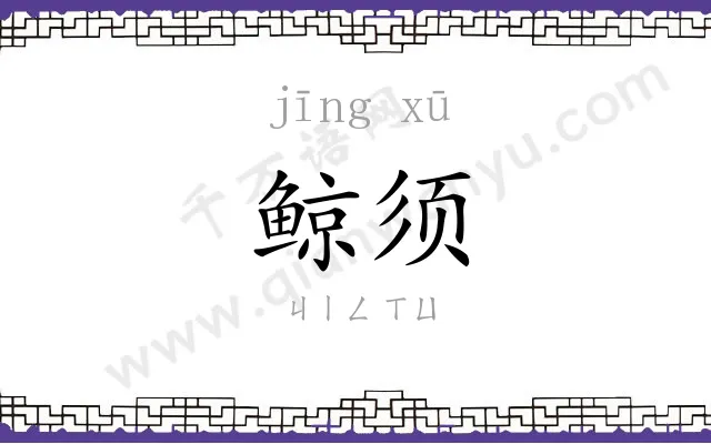 鲸须