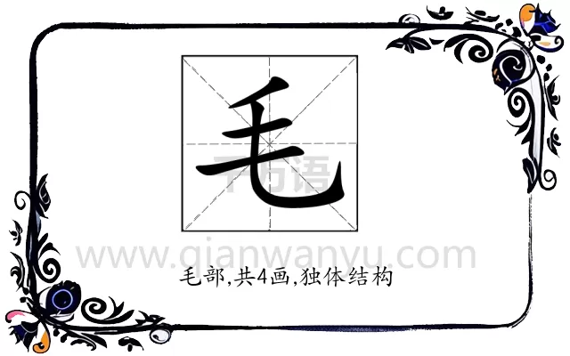 毛