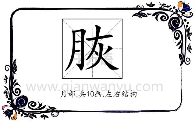 脄