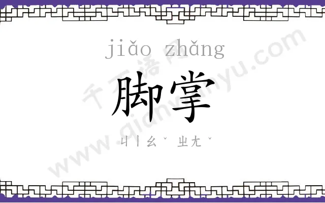 脚掌