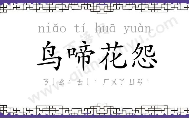 鸟啼花怨 鸟啼花怨