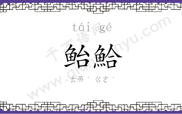 鲐鮯