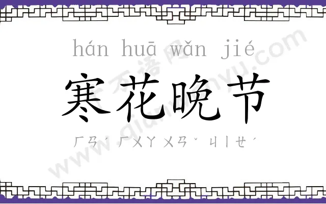 寒花晚节 寒花晚节