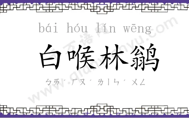 白喉林鹟 白喉林鹟