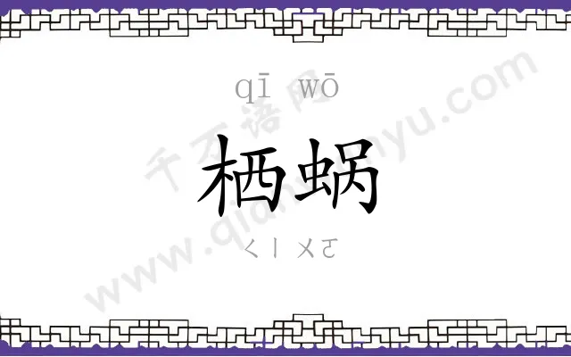 栖蜗