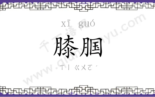 膝腘