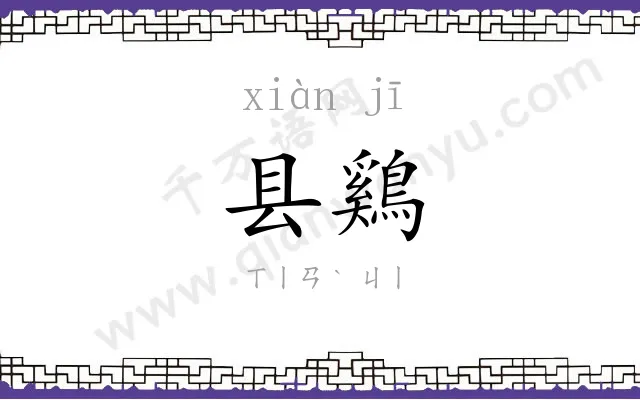 县鷄