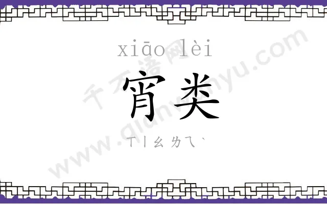 宵类