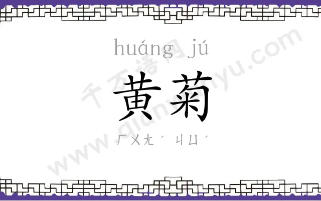 黄菊