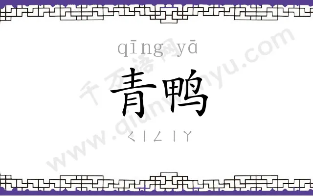 青鸭