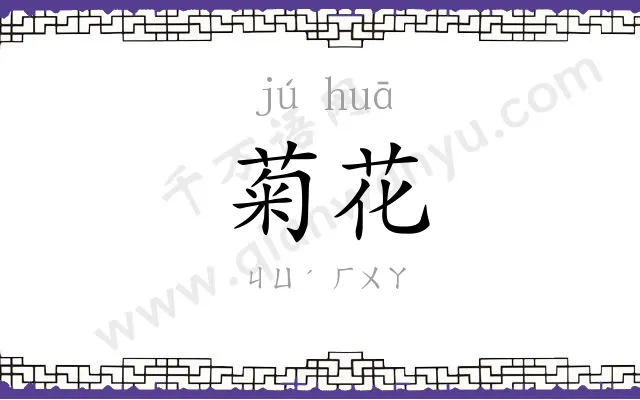菊花