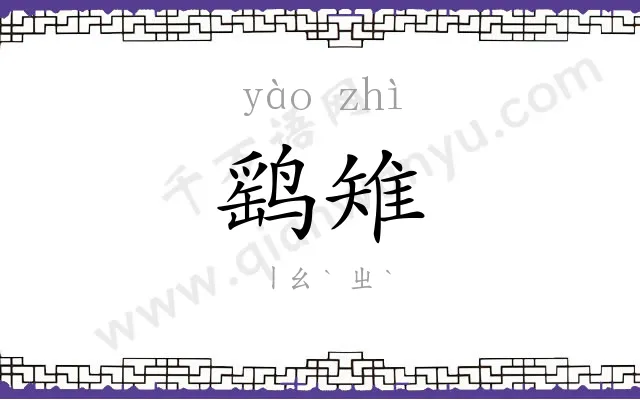 鹞雉