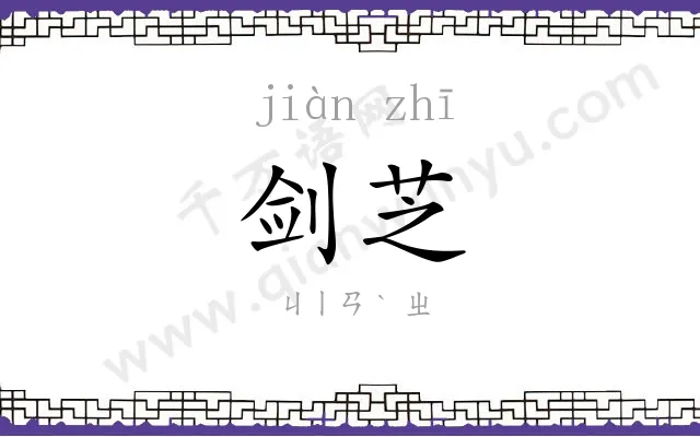 剑芝