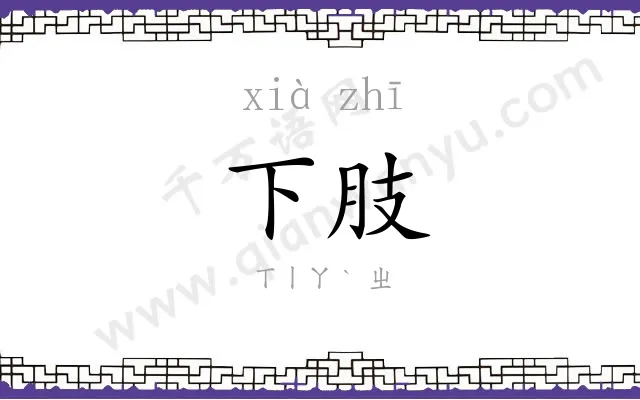 下肢