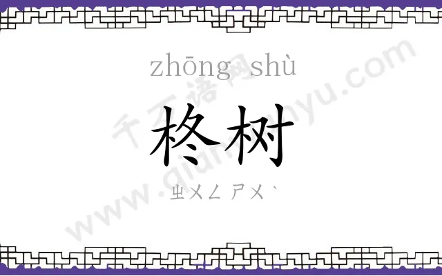 柊树
