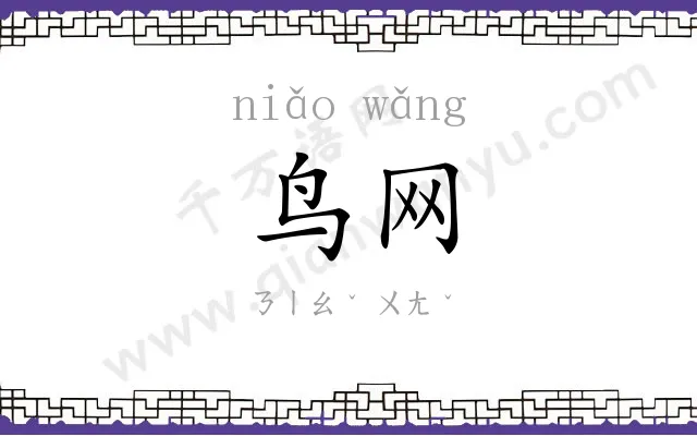 鸟网