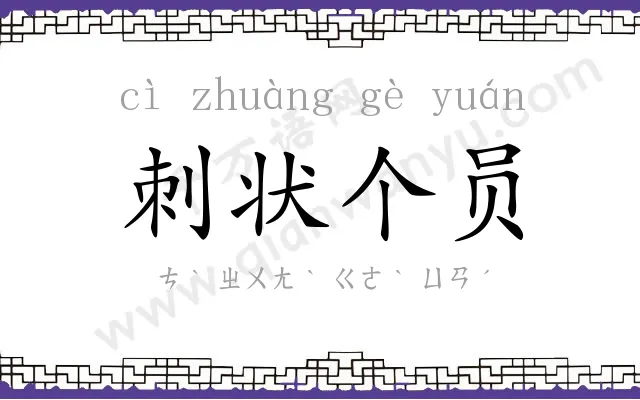 刺状个员